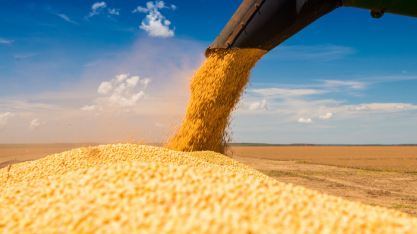 Conab reduz estimativa da safra de grãos 25/26 em 441 mil toneladas