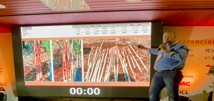 Déficit hídrico ganha relógio fisiológico para orientar intervenções na cana