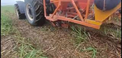 Bisturi Canavieiro aumenta a produtividade da cana-soca e longevidade dos canaviais