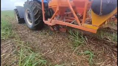 Bisturi Canavieiro aumenta a produtividade da cana-soca e longevidade dos canaviais