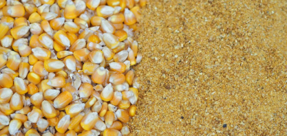 Brasil visa salto nas exportações de DDGs com demanda chinesa