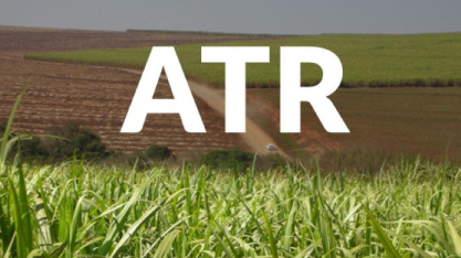 Queda do ATR agrava crise entre fornecedores de cana em Alagoas e reacende apelo por ajuda governamental