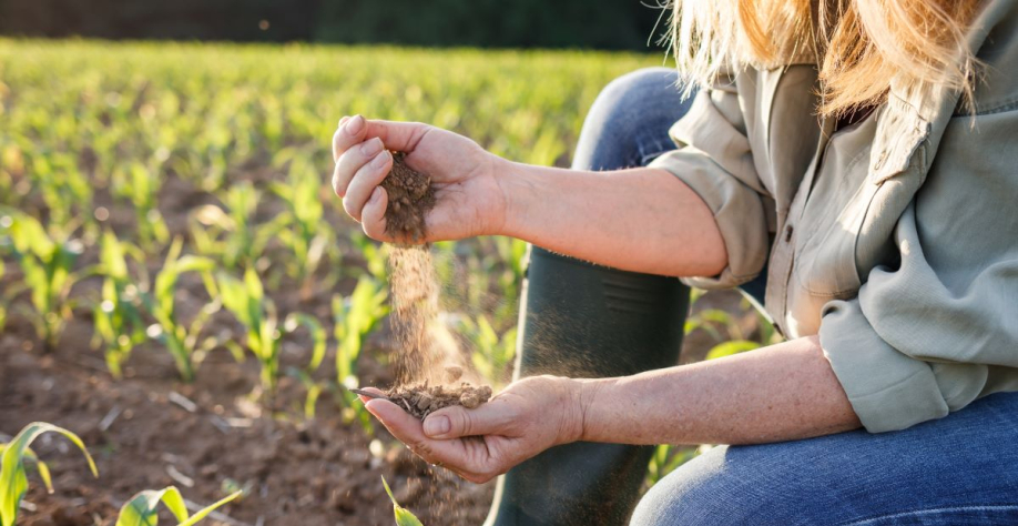 Projeto piloto utiliza metodologia de análise de solo desenvolvida pela Embrapa. | Foto: Adobe Stock
