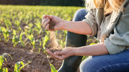 Como o manejo do solo vai permitir ao produtor pagar menos pelo seguro rural?