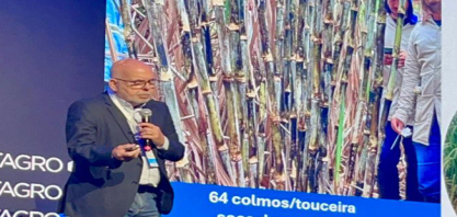 IAC anuncia nova variedade de cana com 25% mais produtividade