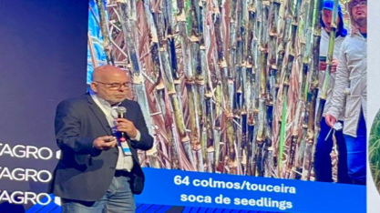 IAC anuncia nova variedade de cana com 25% mais produtividade