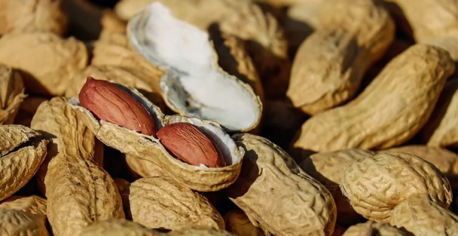 Produção brasileira alcançou um recorde de 1,3 milhão de toneladas — Foto: Globo Rural