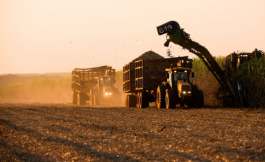 Minuto Canaplan - Final da Safra 2025/26 e Tendências da Safra 2026/27