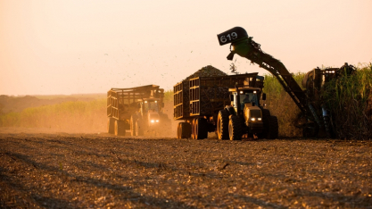 Minuto Canaplan - Final da Safra 2025/26 e Tendências da Safra 2026/27