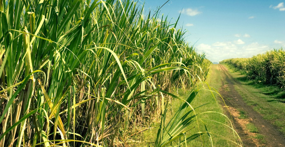 Segundo levantamento, ATR teve uma variação negativa em novembro - Foto: Reprodução/Internet