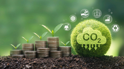 Mercado de carbono: como as cooperativas fazem parte dessa estratégia climática?