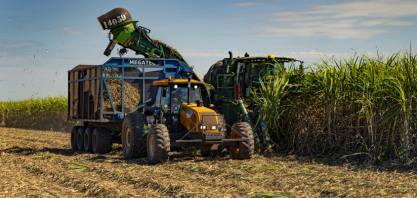 Cana: Jalles Machado aprova aumento de capital de R$ 413,3 milhões