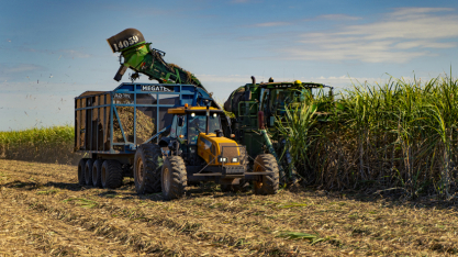 Cana: Jalles Machado aprova aumento de capital de R$ 413,3 milhões
