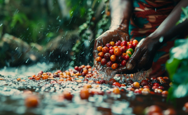 Como ajustar a irrigação no período de chuvas e evitar desperdício de água