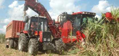 Moagem de cana diminui, mas produção de etanol anidro cresce no Norte e Nordeste, diz NovaBio