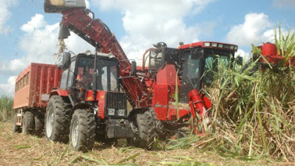 Moagem de cana diminui, mas produção de etanol anidro cresce no Norte e Nordeste, diz NovaBio