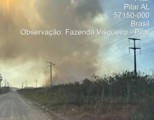 Incêndio criminoso atinge canavial no municipio de Pilar. - Foto: Reprodução
