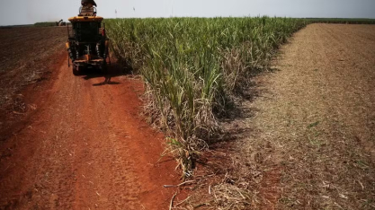 Dois terços das usinas do Centro-Sul já encerraram a moagem de cana da safra, diz Unica