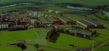 Alta Mogiana projeta reação após impacto climático na safra