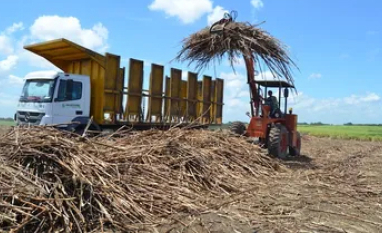 Nova queda do ATR agrava crise que atinge fornecedores de cana de AL
