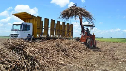 Nova queda do ATR agrava crise que atinge fornecedores de cana de AL
