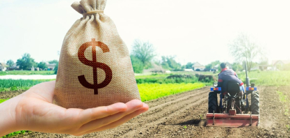 Plano Safra 25/26: contratações de crédito rural recuam 16,9%