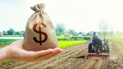 Plano Safra 25/26: contratações de crédito rural recuam 16,9%