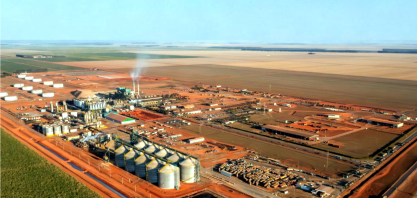 CerradinhoBio projeta safra maior e reforça expansão do etanol de milho