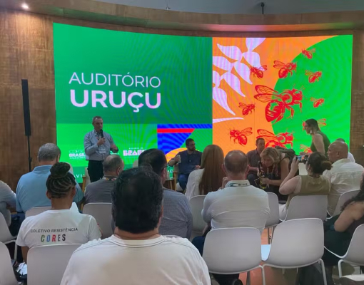 Divulgação — Foto: Divulgação