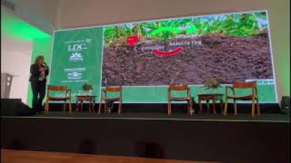 Solo saudável redefine produtividade na cana e impulsiona agricultura regenerativa