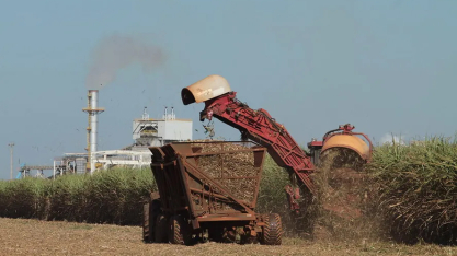 Preço do etanol atinge maior valor da safra 2025/26