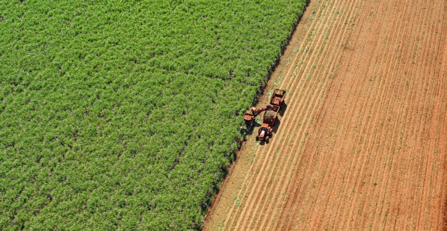 Impasse envolve modelo de precificação para o setor sucroenergético. Foto: Adobe Stock