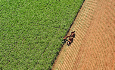 Orplana avalia pedido de exclusão de associações após memorando com a Unica