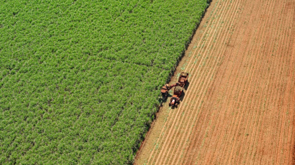 Orplana avalia pedido de exclusão de associações após memorando com a Unica