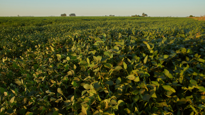 CTECNO Parecis completa uma década com nova edição de visitas técnicas em janeiro