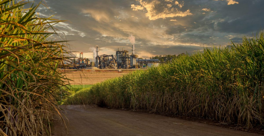 FGV desenvolveu um estudo sobre a metodologia de preços do setor sucroalcooleiro. | Foto: Adobe Stock