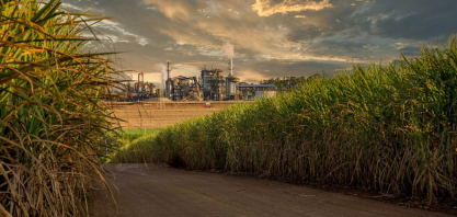 Consecana-SP: impasse entre Unica e Orplana caminha para o fim?