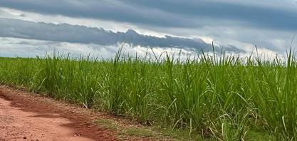 Chuvas retornam ao Centro-Norte e reduzem riscos para o avanço do plantio