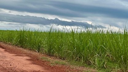 Chuvas retornam ao Centro-Norte e reduzem riscos para o avanço do plantio