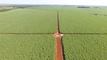MapBiomas lança primeira versão do mapa de agricultura de segunda safra