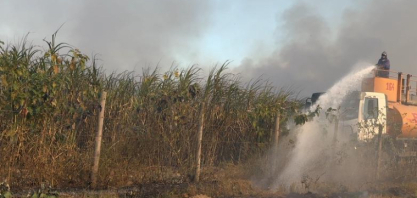 Incêndios criminosos em canaviais causam danos em Alagoas