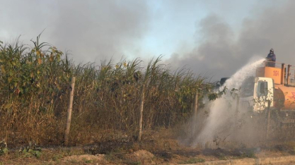 Incêndios criminosos em canaviais causam danos em Alagoas