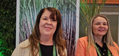 Pesquisas da Ridesa avançam na direção de cana tolerantes à seca e aceleração de lançamentos