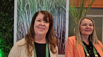 Pesquisas da Ridesa avançam na direção de cana tolerantes à seca e aceleração de lançamentos