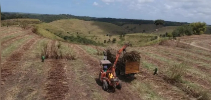 Safra 25/26 tem mais de 7,9 milhões de toneladas de cana processadas