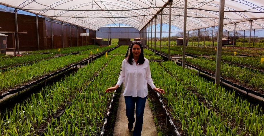 Laura Vicentini transformou sua fazenda em referência de sustentabilidade e economia circular