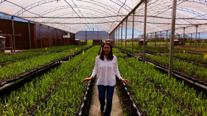 SP lança Rotas da Cachaça com premiação dos melhores rótulos do Estado; conheça os ganhadores
