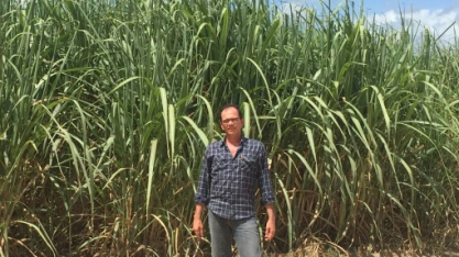 AFCP e Sindicape devem se reunir hoje com presidente Lula e Raquel Lyra em socorro do setor canavieiro atingido pelo tarifaço