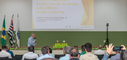 Censo Varietal reforça domínio da CTC4 e aponta avanço consistente das variedades IAC no Centro-Sul