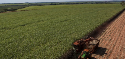 Tecnologia e treinamento viram divisor de águas na logística da cana